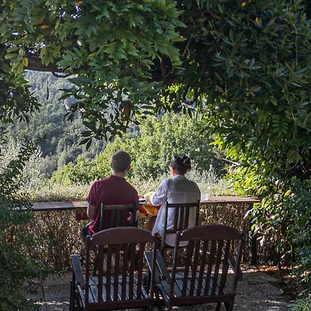 Settesoldi * San Miniato