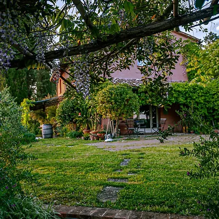 Gospodarstwo agroturystyczne Settesoldi San Miniato